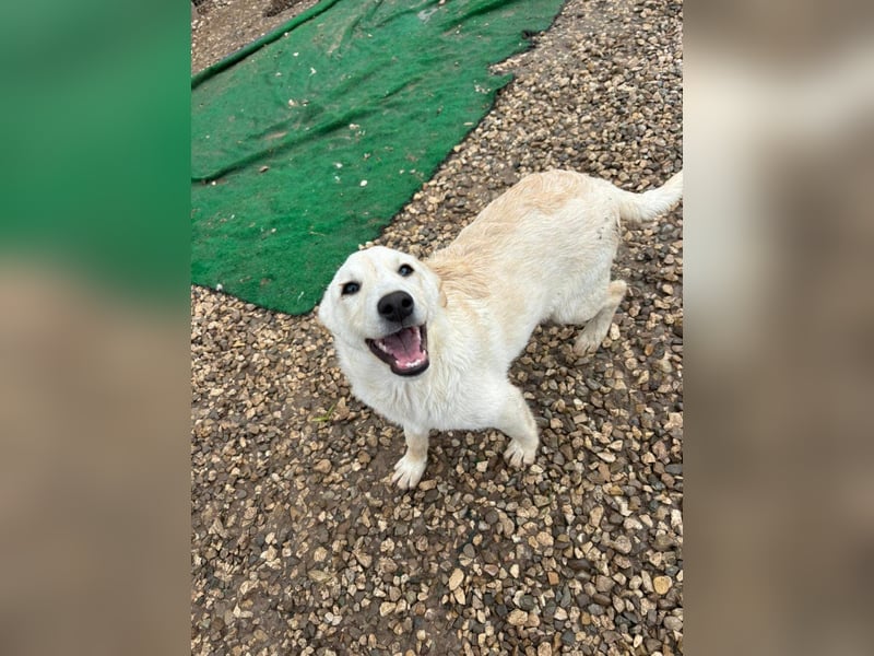 Dorotea sucht ihre Menschen