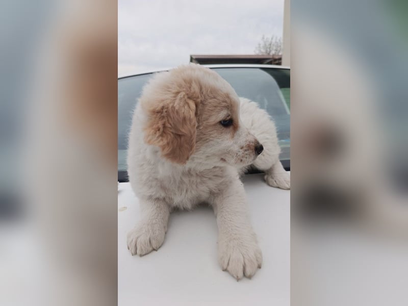 Giada sucht ihre Familie