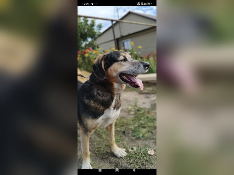 Rem sucht sein Für -immer -Zuhause ❤️