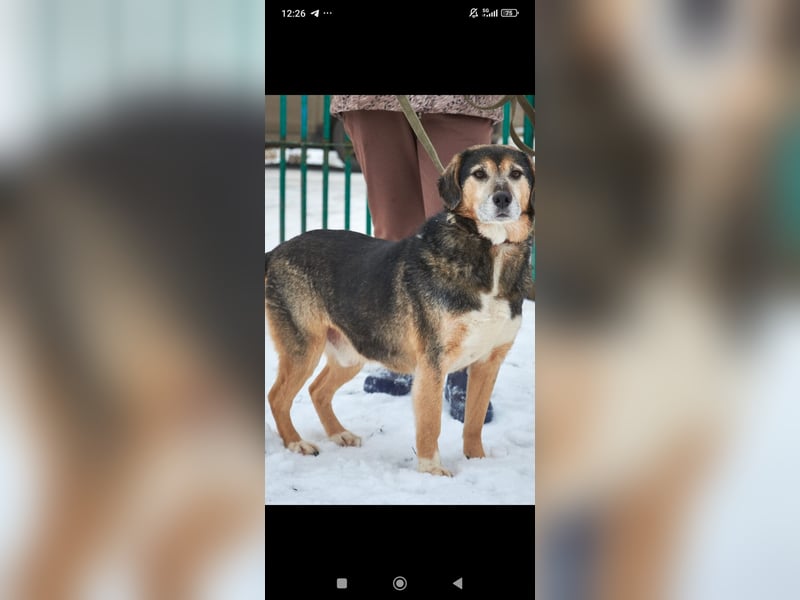 Rem sucht sein Für -immer -Zuhause ❤️