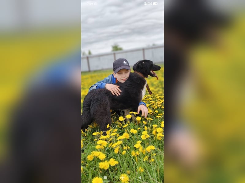 Bertha – eine junge Hündin mit einem bezaubernden Lächeln sucht ihr Für-immer-Zuhause❤️