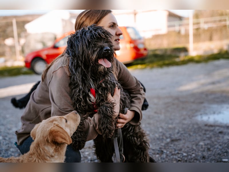 Liebe Wuschelmaus Pola