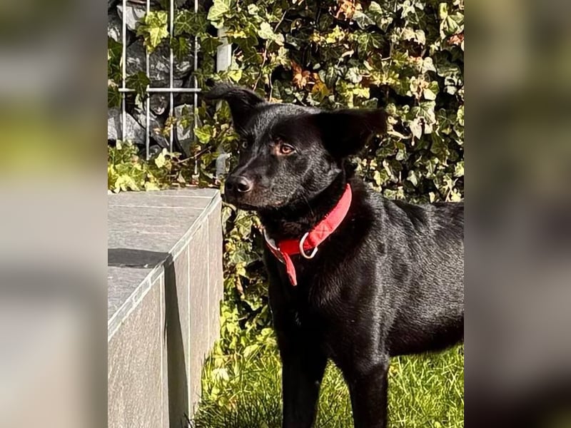 Feivel sucht seinen sicheren Hafen, PS in 86633 Neuburg