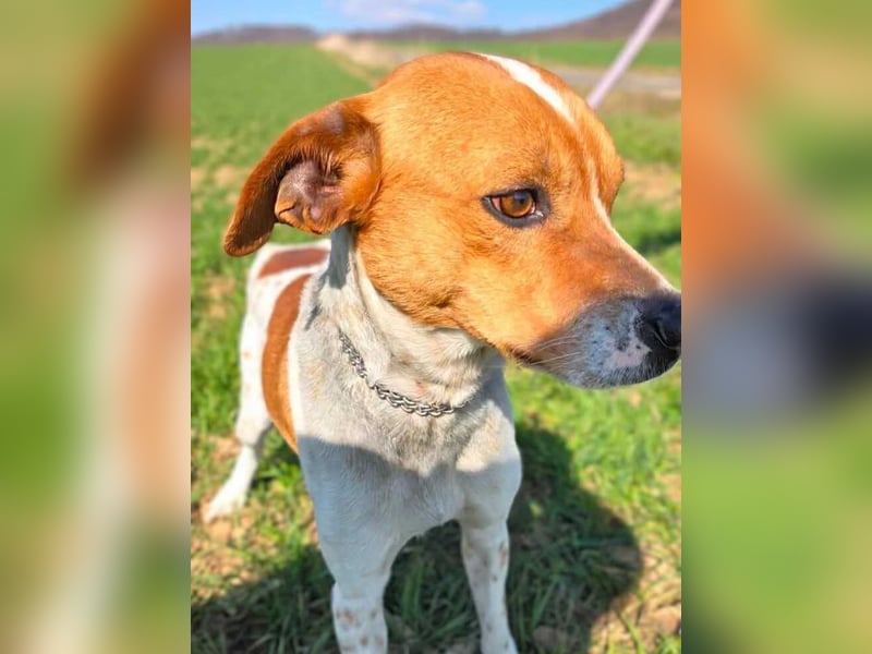 Sammy - der liebevolle