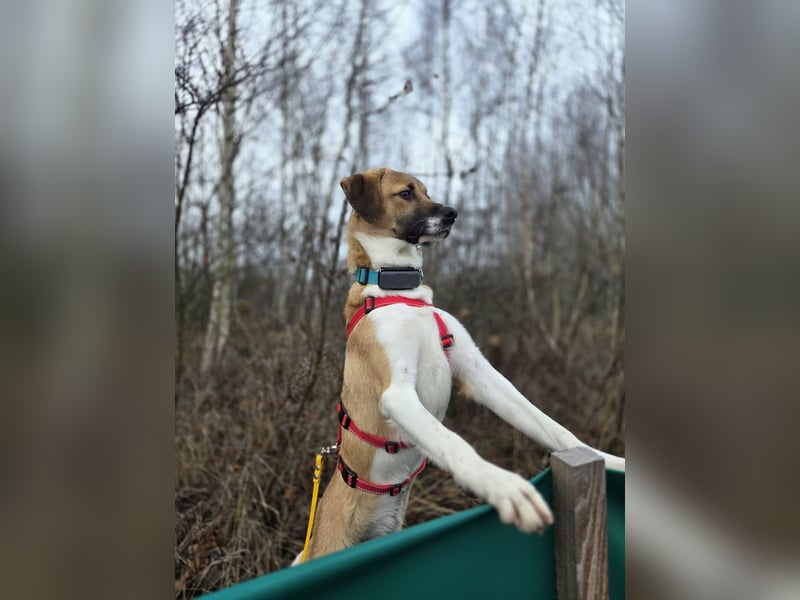 Ronja - zarte Räubertochter mit mutigen Herz