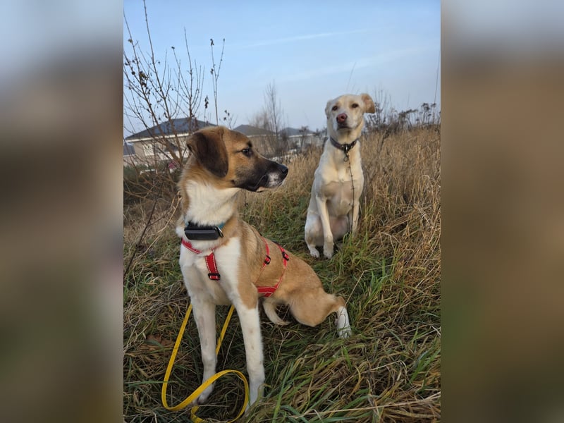 Ronja - zarte Räubertochter mit mutigen Herz