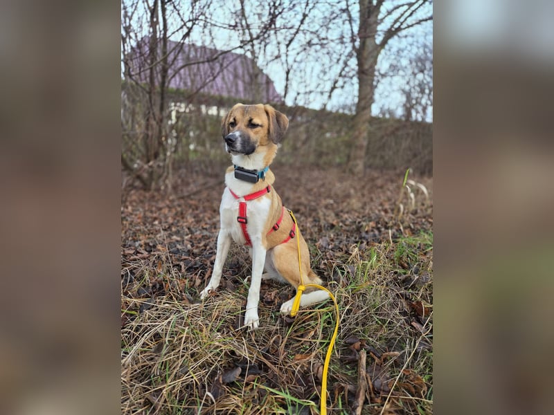 Ronja - zarte Räubertochter mit mutigen Herz