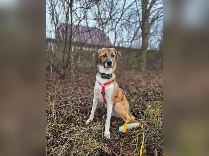 Ronja - zarte Räubertochter mit mutigen Herz