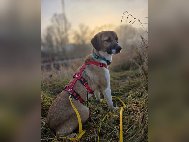 Ronja - zarte Räubertochter mit mutigen Herz