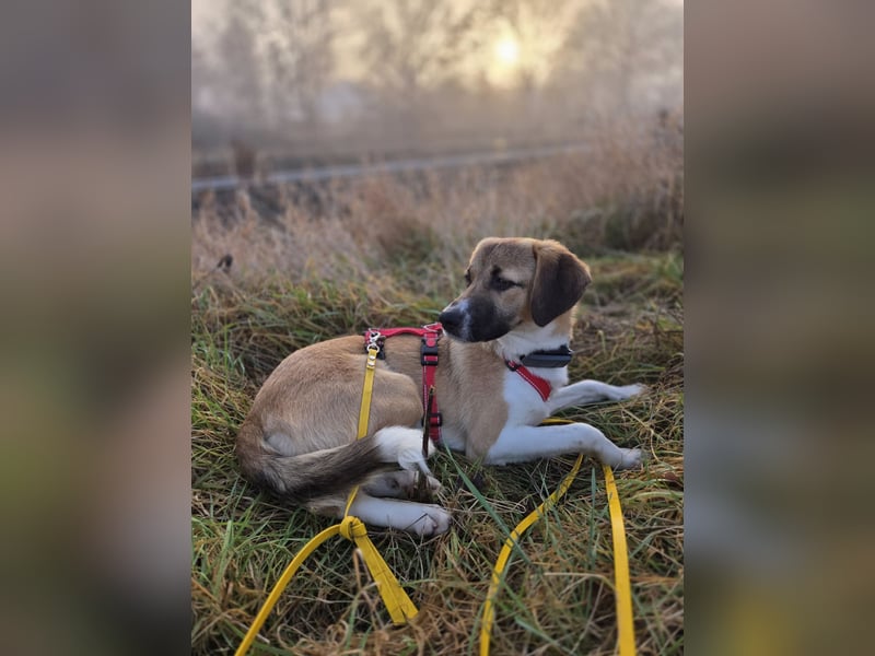 Ronja - zarte Räubertochter mit mutigen Herz