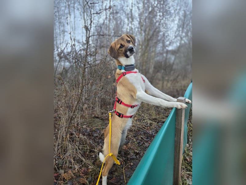 Ronja - zarte Räubertochter mit mutigen Herz