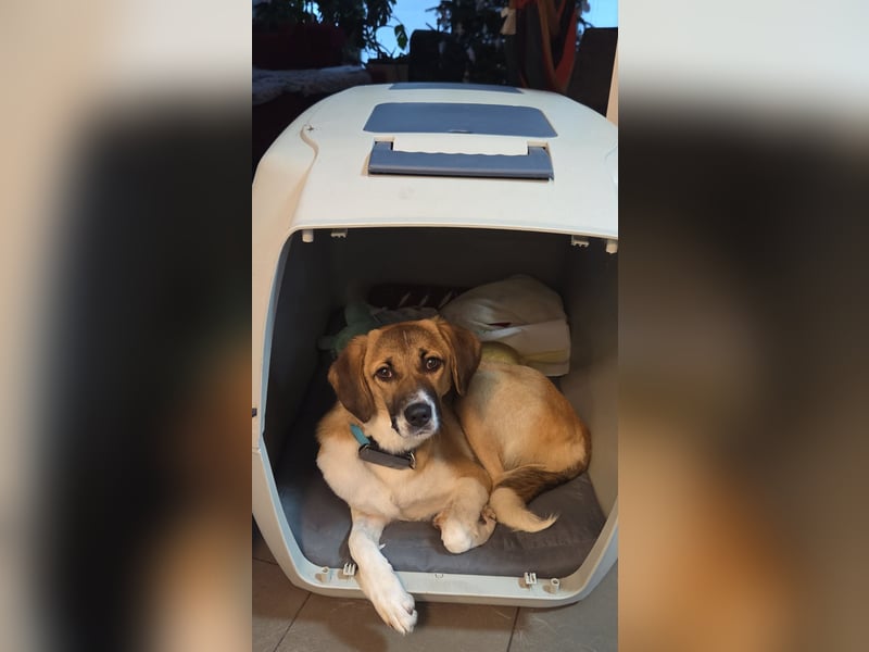 Ronja - zarte Räubertochter mit mutigen Herz