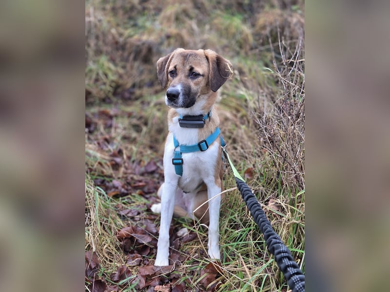 Ronja - zarte Räubertochter mit mutigen Herz