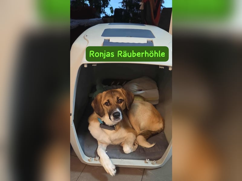 Ronja - zarte Räubertochter mit mutigen Herz
