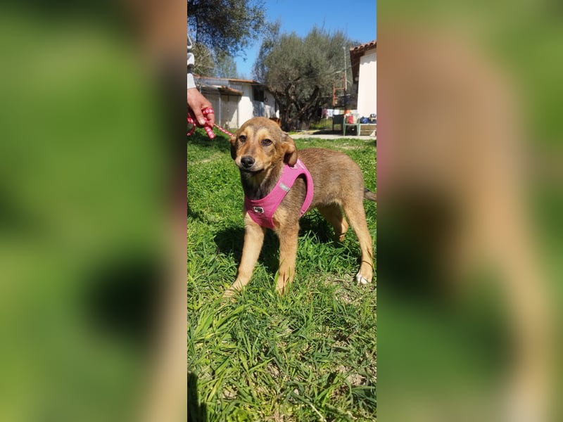 Mabel ist ein Gute-Laune-Schatz