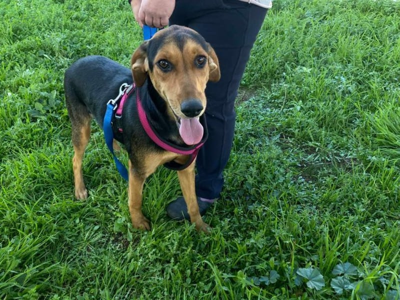 Hübsche Tonia sucht Kuschelplätzchen