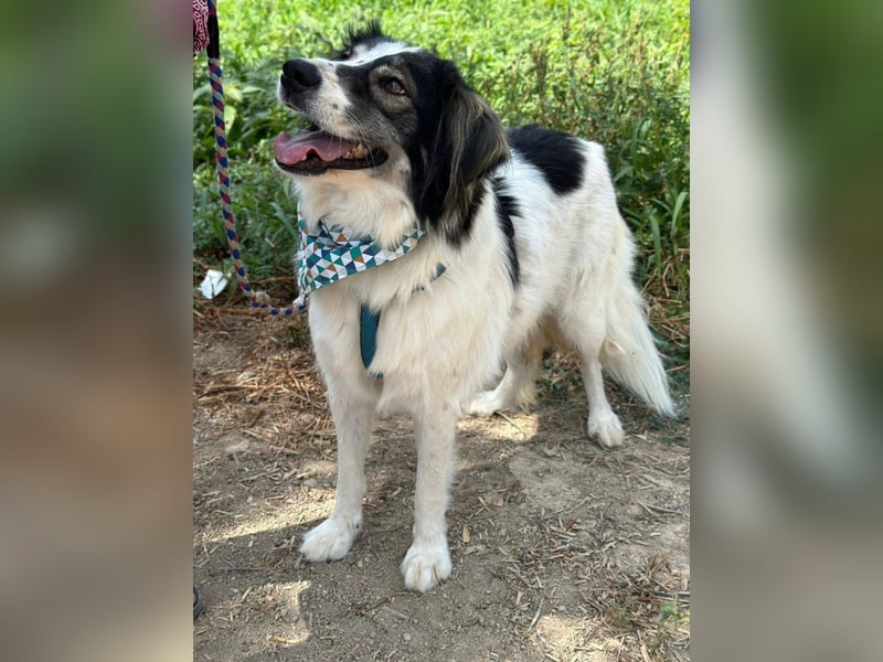 Daisy möchte gerne viele Outdoor-Abenteuer erleben