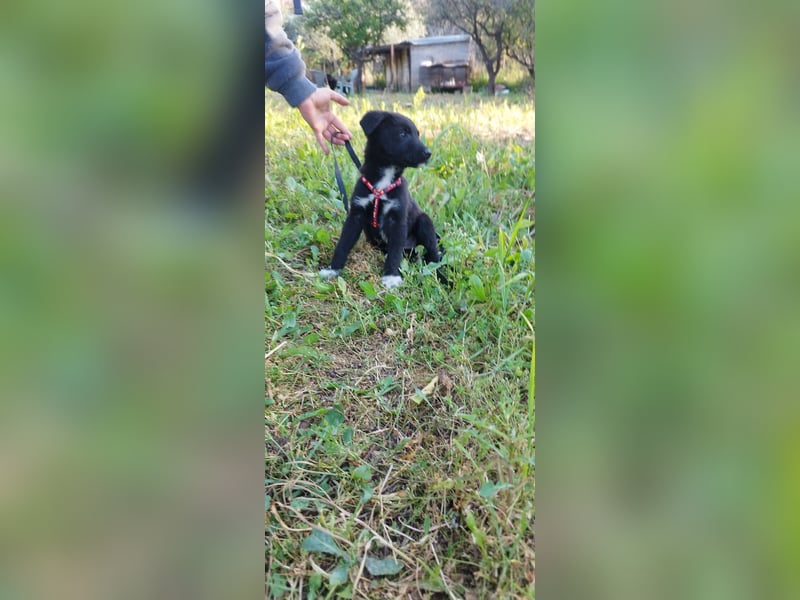 Feeby: Bezaubernder Sonnenschein