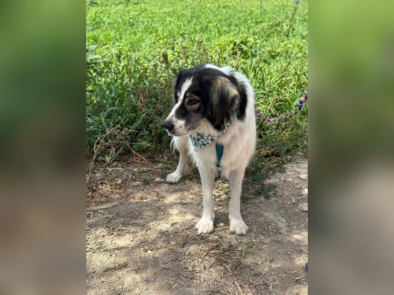 Daisy möchte gerne viele Outdoor-Abenteuer erleben