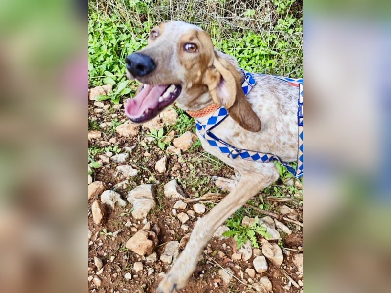 Feivel ist voller Energie und Liebe