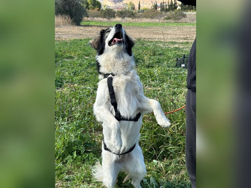 Daisy möchte gerne viele Outdoor-Abenteuer erleben