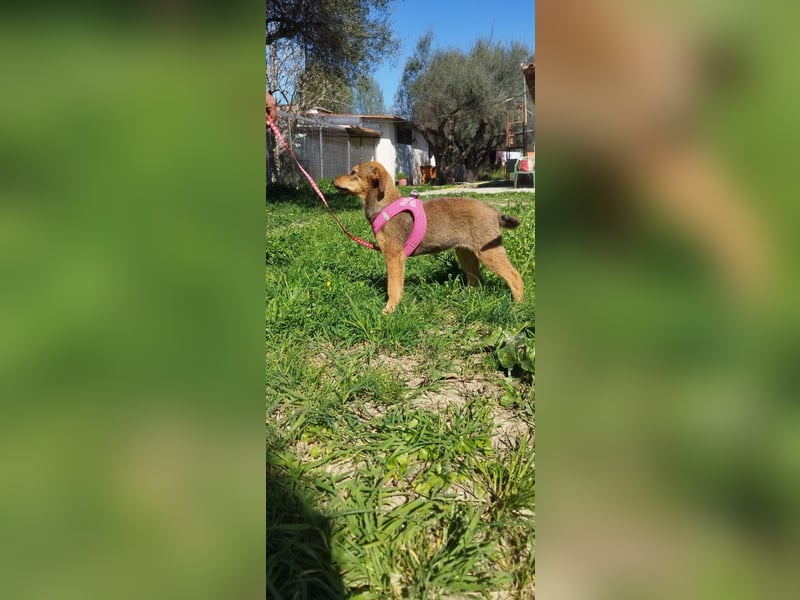 Mabel ist ein Gute-Laune-Schatz