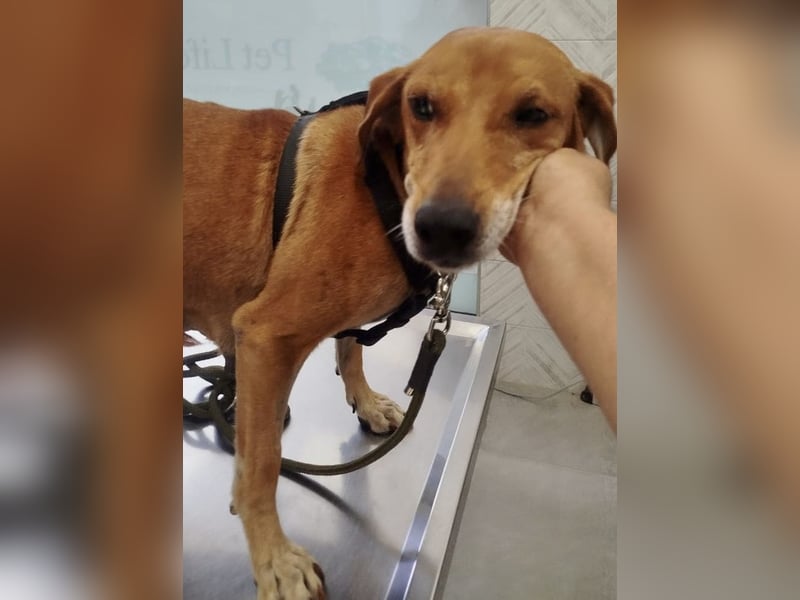 Mandy ist ein liebevoller Sonnenschein