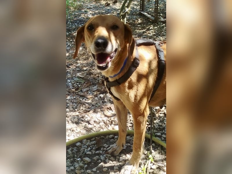 Mandy ist ein liebevoller Sonnenschein