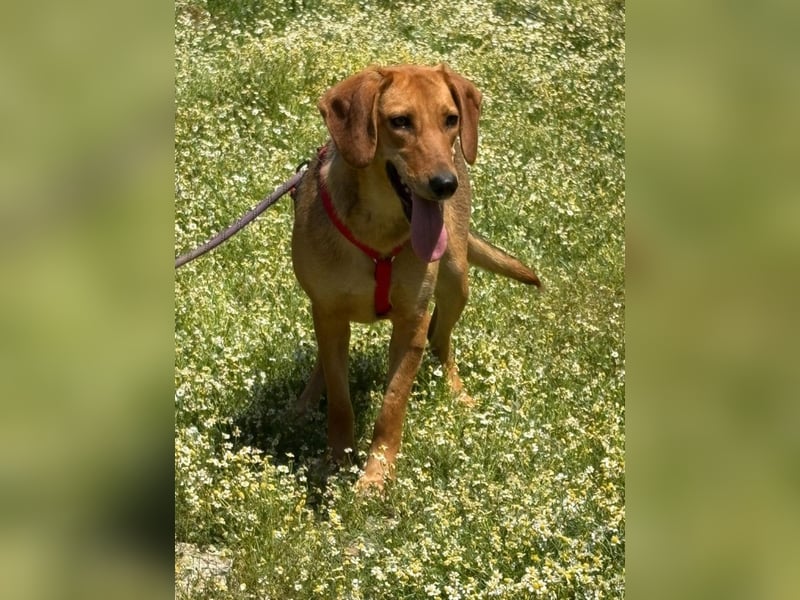 Lucy - freundlich und menschenbezogen