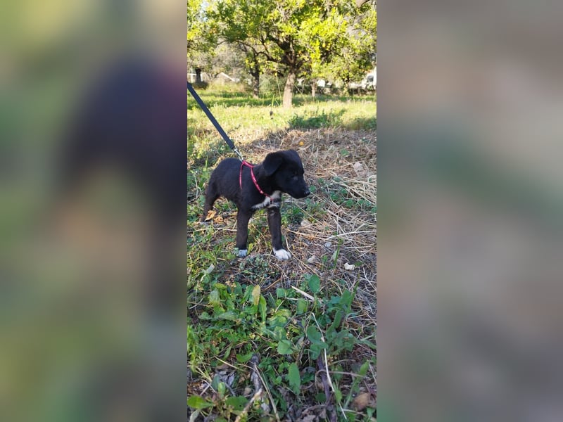 Feeby: Bezaubernder Sonnenschein