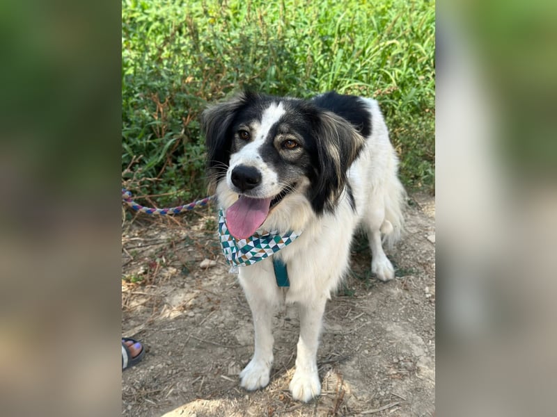 Daisy möchte gerne viele Outdoor-Abenteuer erleben