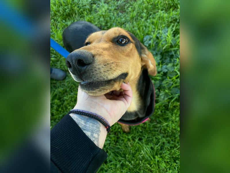 Hübsche Tonia sucht Kuschelplätzchen