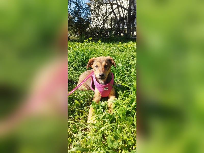 Mabel ist ein Gute-Laune-Schatz