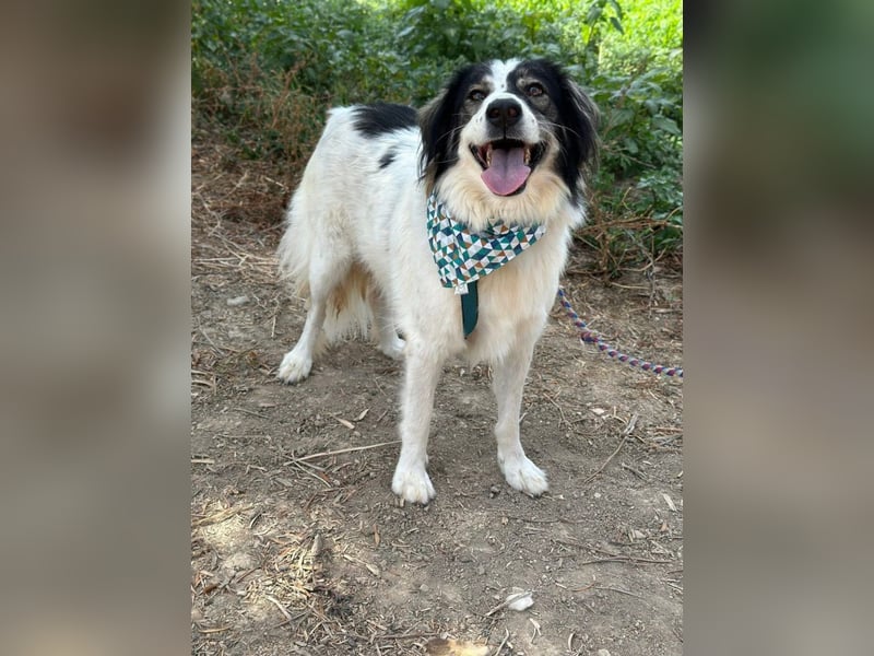 Daisy möchte gerne viele Outdoor-Abenteuer erleben