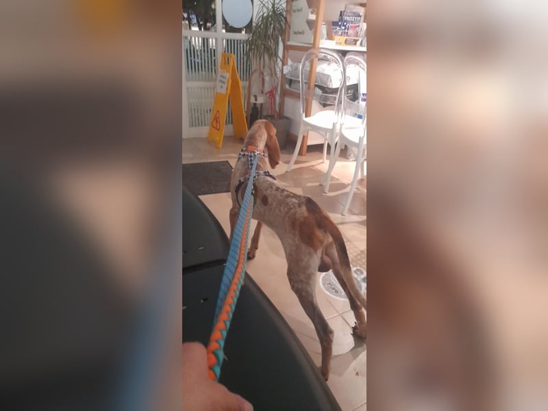 Feivel ist voller Energie und Liebe