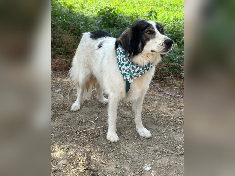 Daisy möchte gerne viele Outdoor-Abenteuer erleben