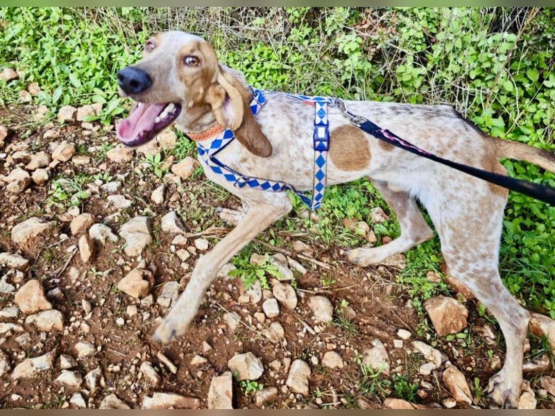 Feivel ist voller Energie und Liebe