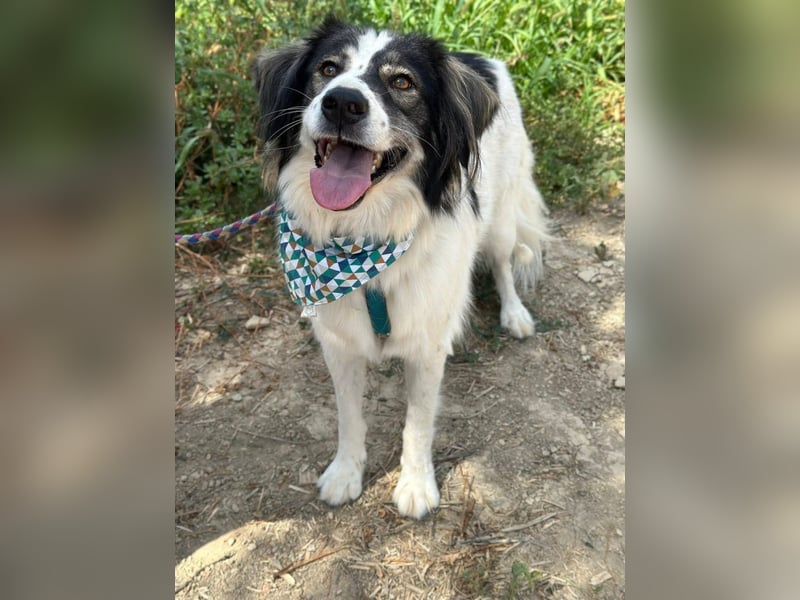 Daisy möchte gerne viele Outdoor-Abenteuer erleben