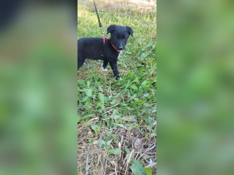 Feeby: Bezaubernder Sonnenschein