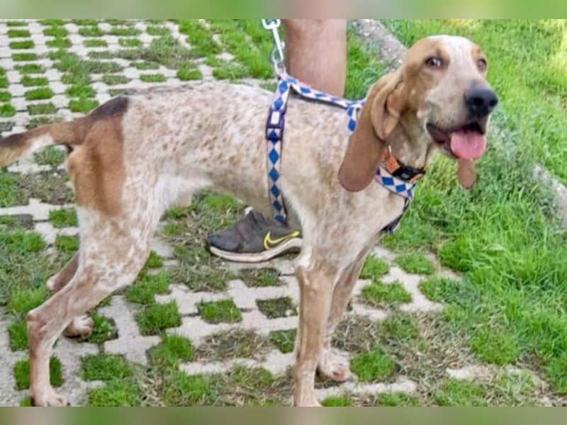 Feivel ist voller Energie und Liebe