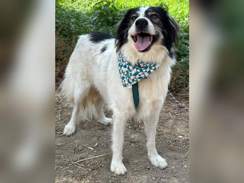 Daisy möchte gerne viele Outdoor-Abenteuer erleben