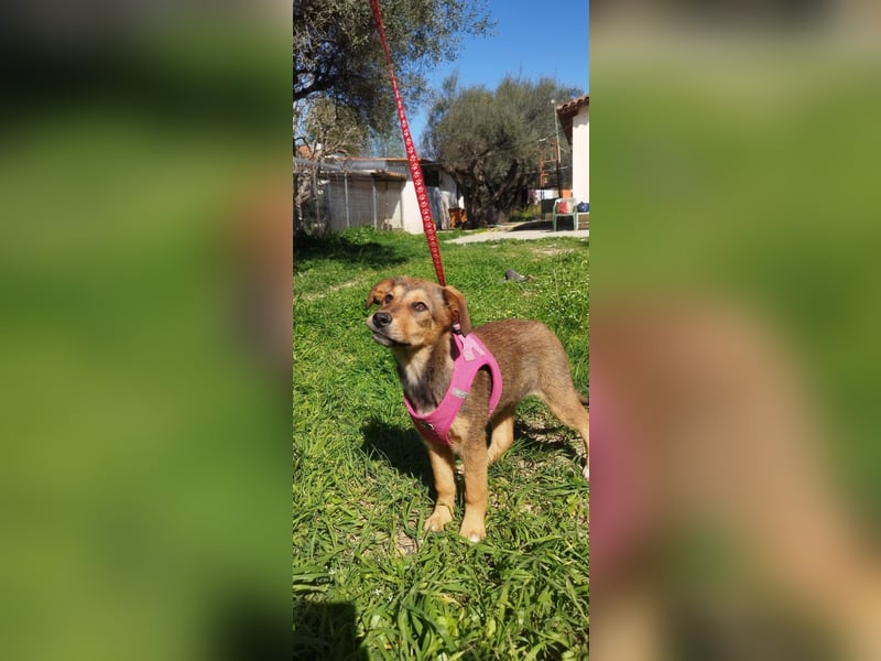 Mabel ist ein Gute-Laune-Schatz