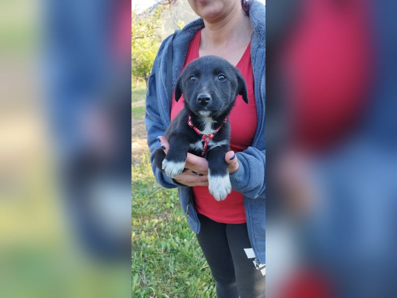 Feeby: Bezaubernder Sonnenschein