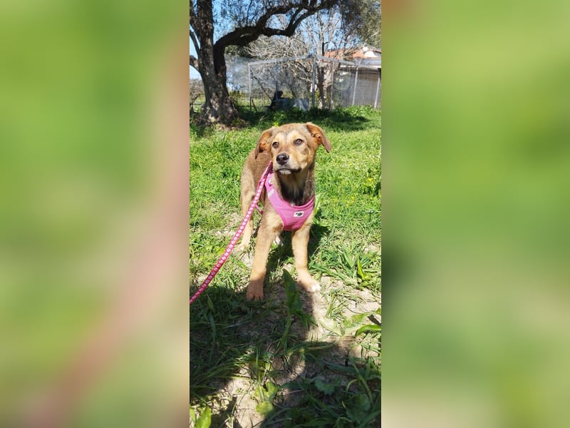 Mabel ist ein Gute-Laune-Schatz