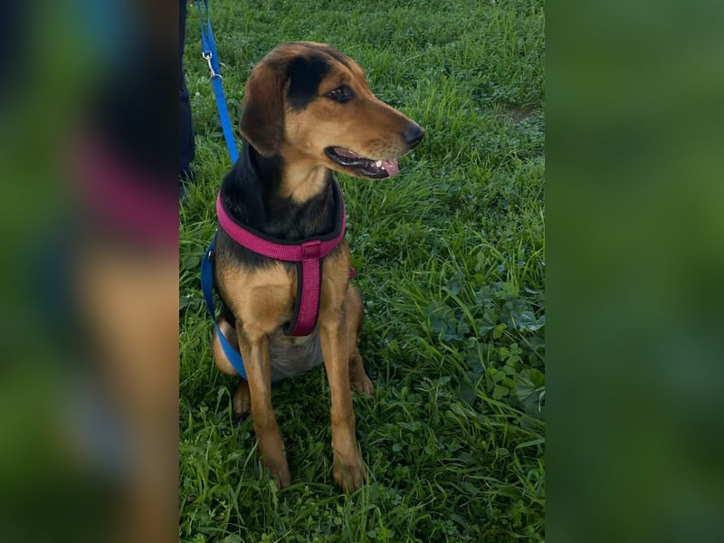 Hübsche Tonia sucht Kuschelplätzchen