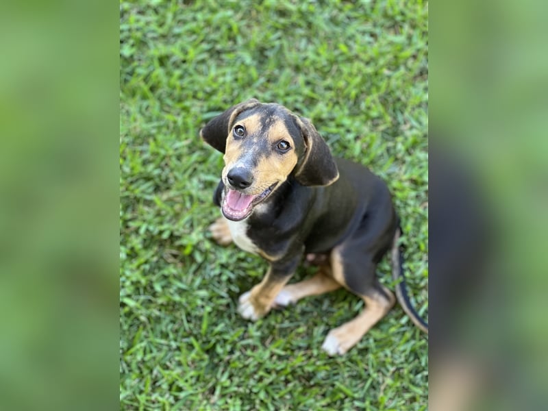 Zuhause GESUCHT - Unno