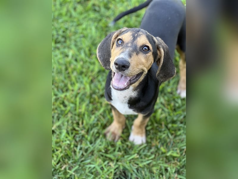 Zuhause GESUCHT - Unno