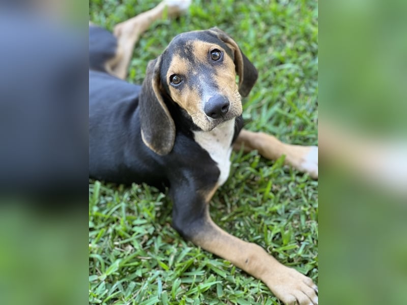 Zuhause GESUCHT - Unno