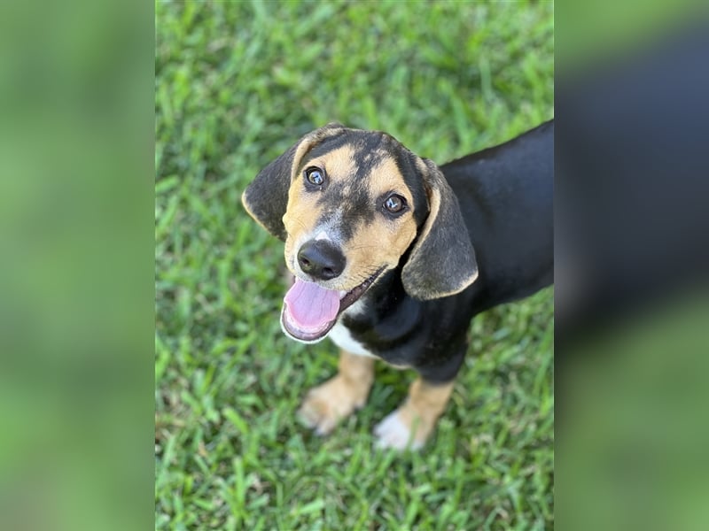 Zuhause GESUCHT - Unno