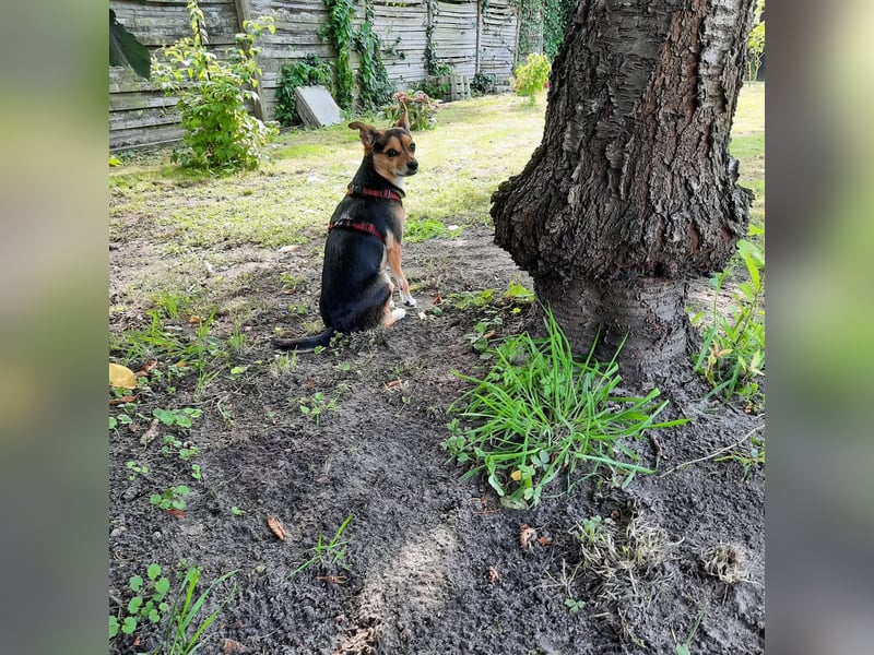 Minnie